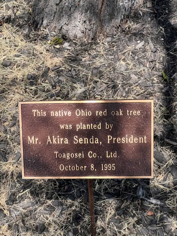 The History of Krazy Glue